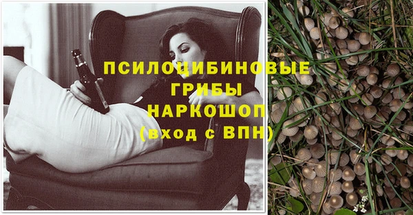 MESCALINE Вяземский