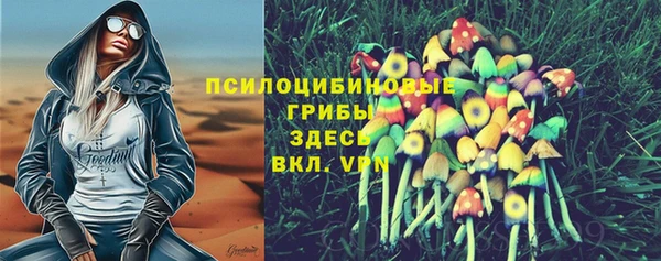 МДПВ Вязники